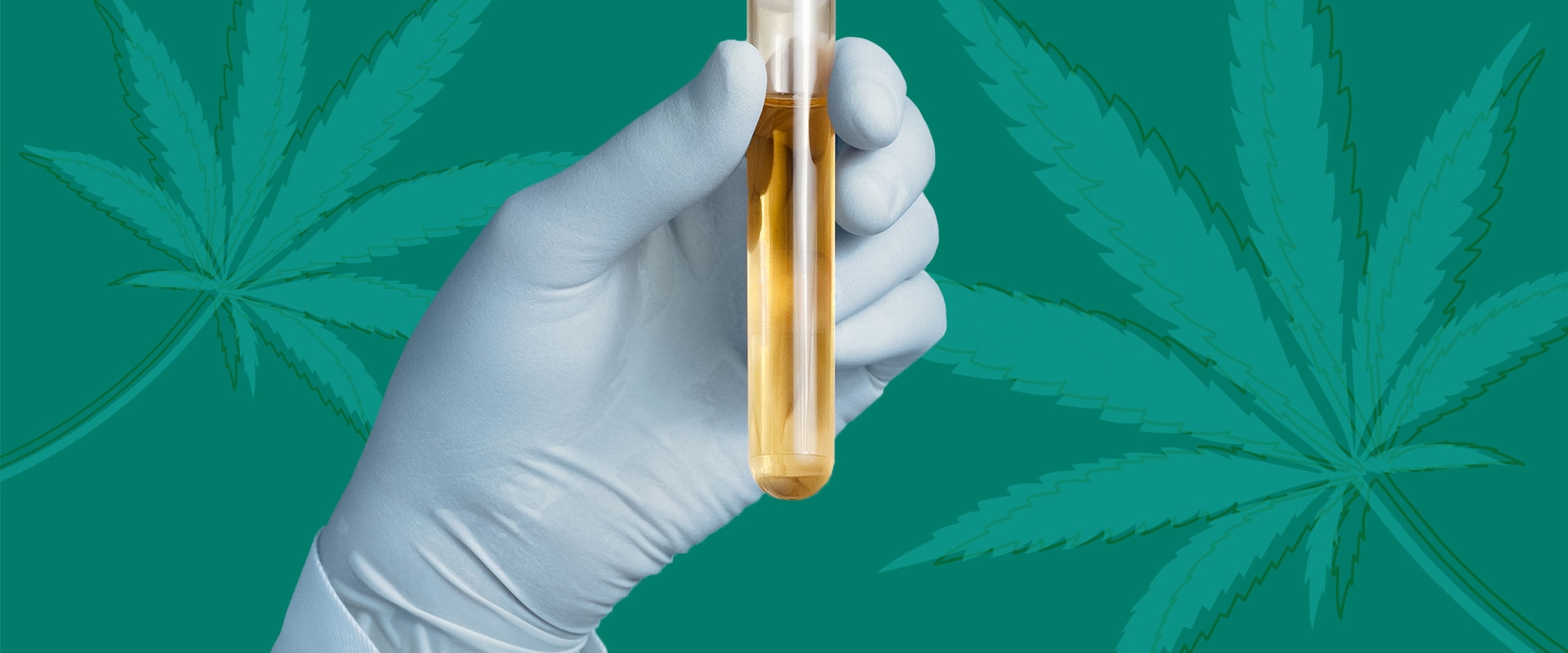 Will cbd oil show in blood tests?