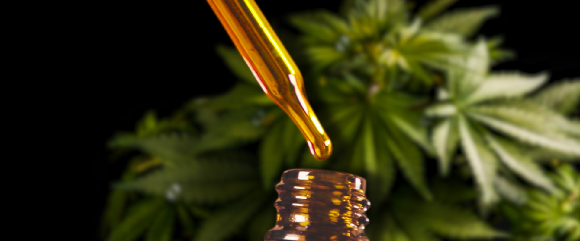 Why is cbd so much more expensive?