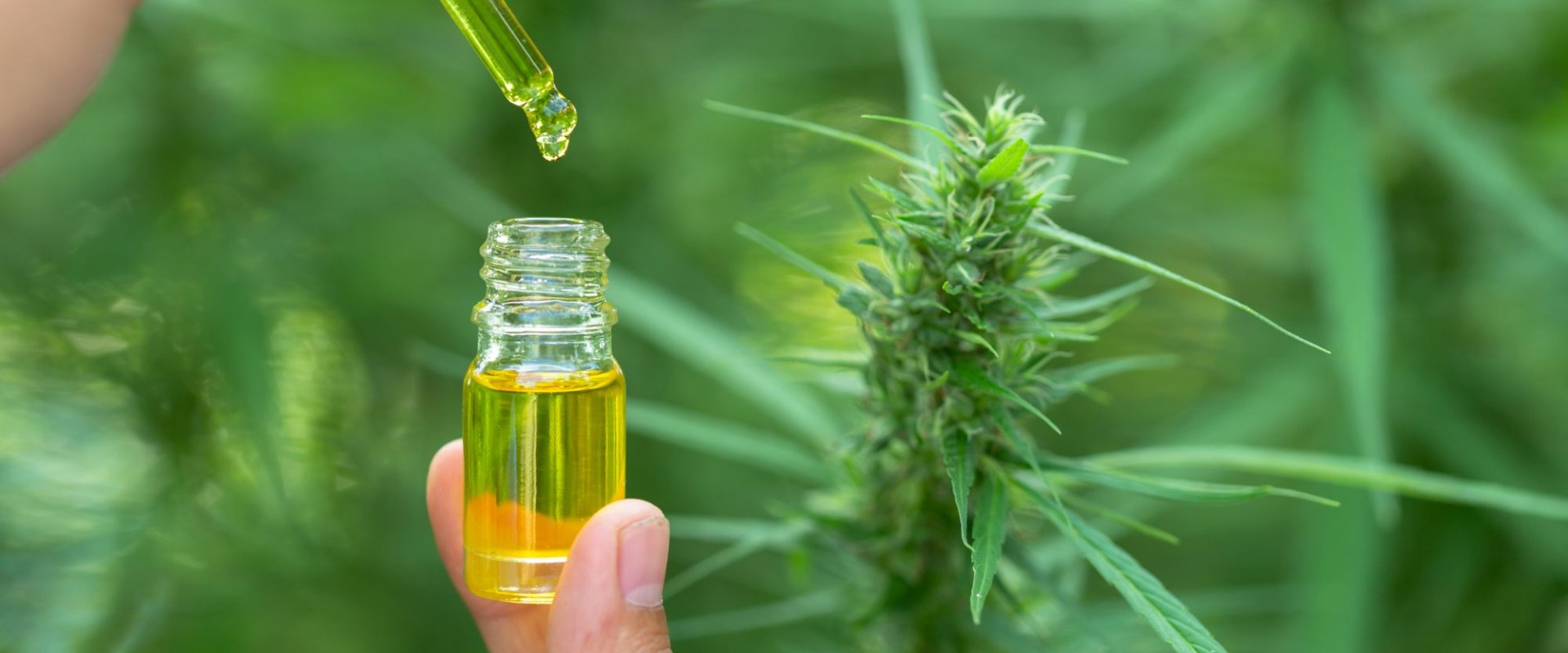 Can cbd oil make you more depressed?