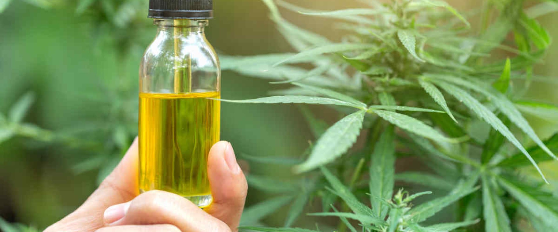 Is thc oil safe to consume?