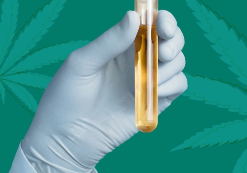 Will cbd oil show in blood tests?