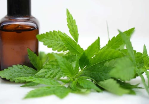 What cbd oil for fibromyalgia?